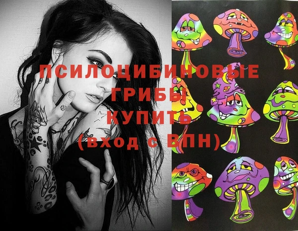 Альфа ПВП Белокуриха