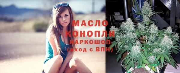Альфа ПВП Белокуриха