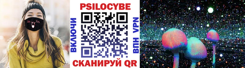 Псилоцибиновые грибы Psilocybine cubensis  Среднеуральск 