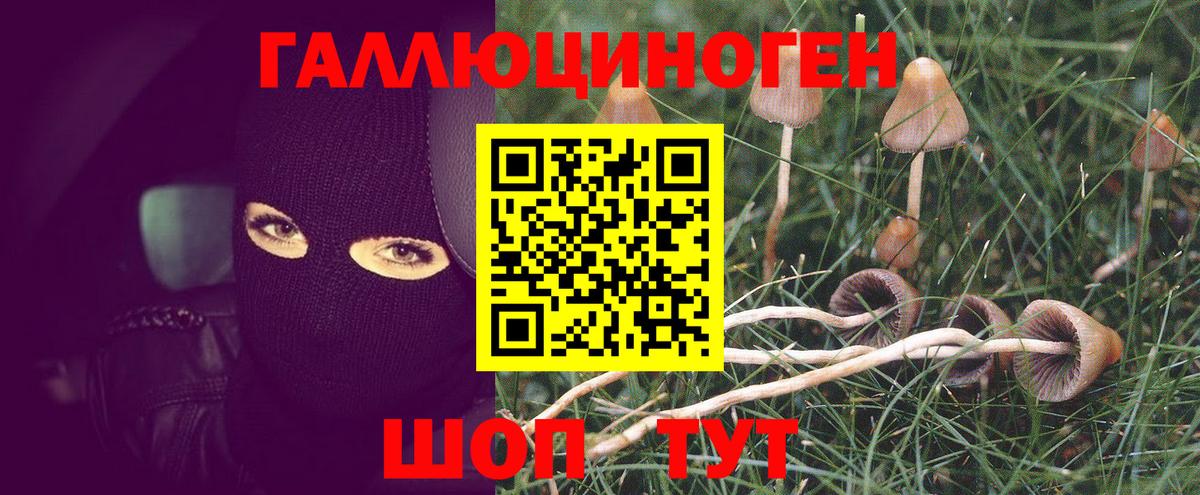 Псилоцибиновые грибы MAGIC MUSHROOMS Среднеуральск