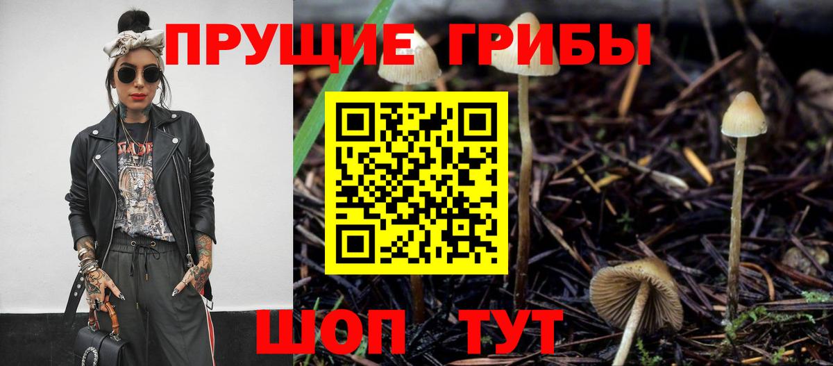 Галлюциногенные грибы мицелий  Псилоцибиновые грибы мухоморы  Среднеуральск  Вход с VPN 
